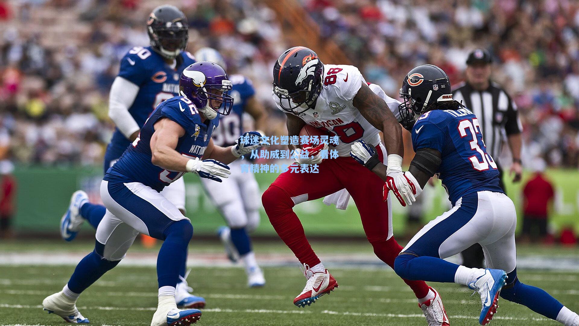 球迷文化塑造赛场灵魂，从助威到公益，看体育精神的多元表达