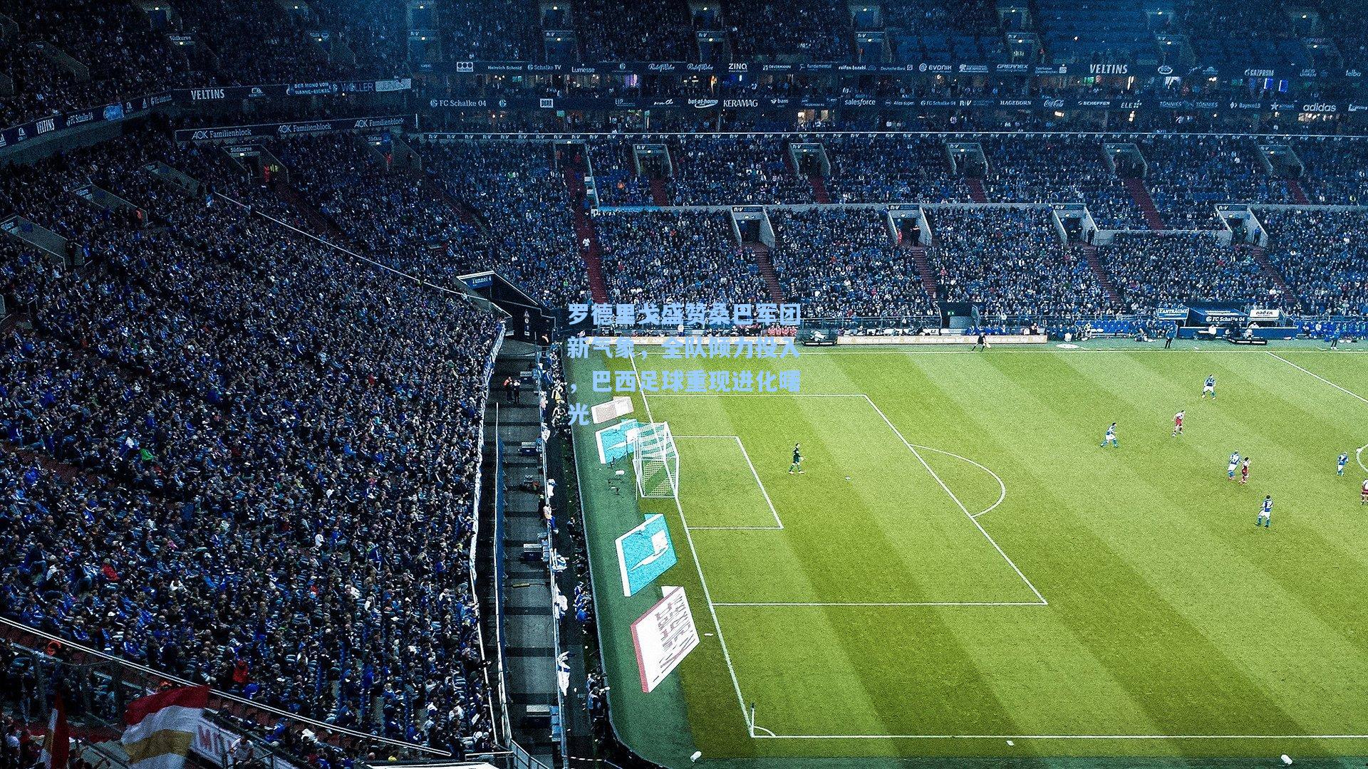 罗德里戈盛赞桑巴军团新气象,全队倾力投入,巴西足球重现进化曙光